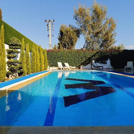 Wiseman Villa
